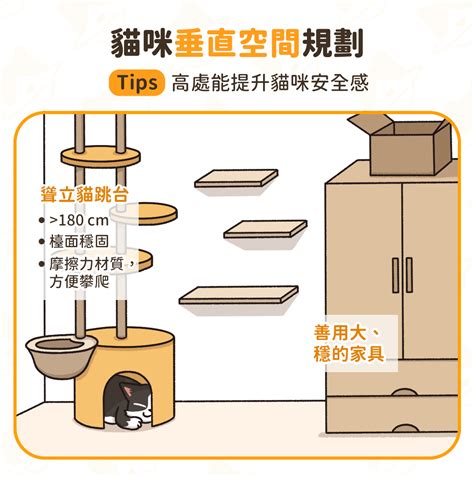 養貓房間佈置|打造舒適貓宅！理想 養貓空間 規劃指南｜汪喵星